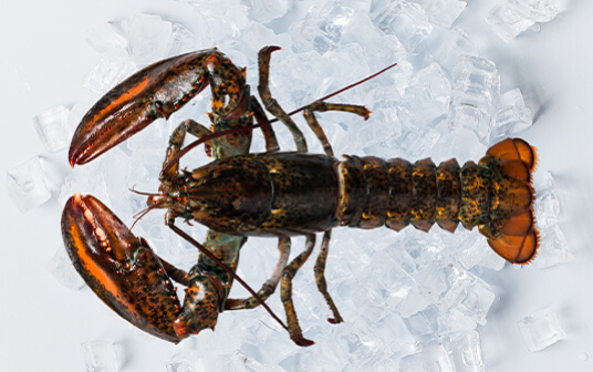 龙虾