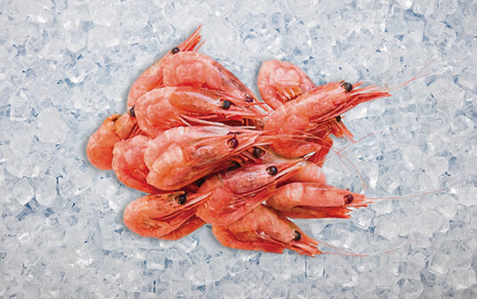 A photo of Nova Scotia coldwater shrimp displayed on ice.