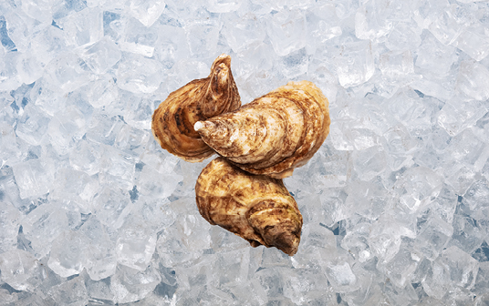 A photo of Nova Scotia oysters displayed on ice.